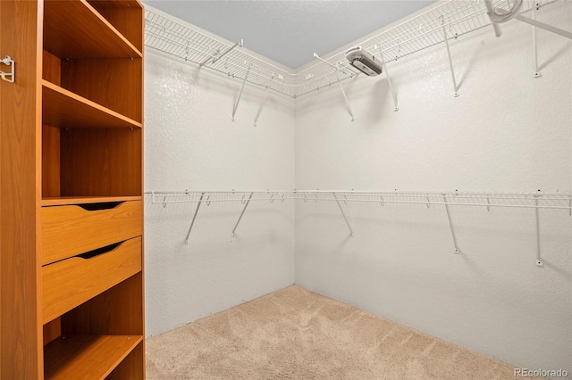 205 Beech St, Hudson, CO 80642 - walk in closet featuring carpet