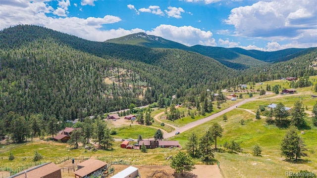 30927 Joanie Rd, Golden, CO 80403