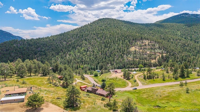 30927 Joanie Rd, Golden, CO 80403