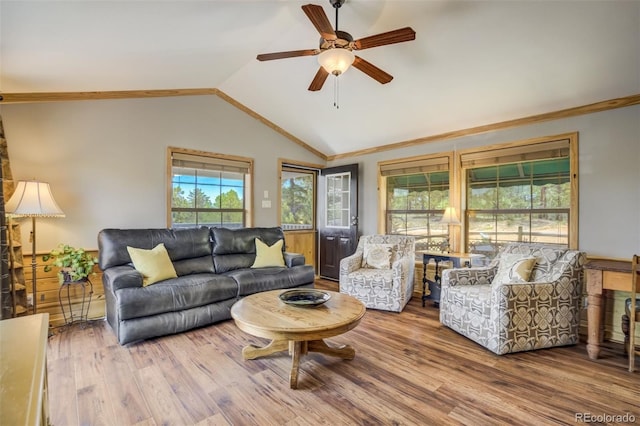 716 Badger Trl, Florissant, CO 80816 - photo 8