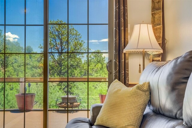 716 Badger Trl, Florissant, CO 80816 - photo 10