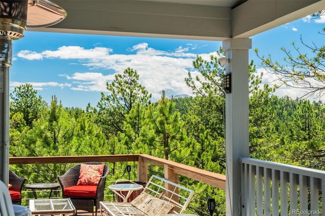716 Badger Trl, Florissant, CO 80816 - photo 13