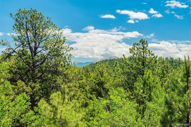 716 Badger Trl, Florissant, CO 80816 - photo 14