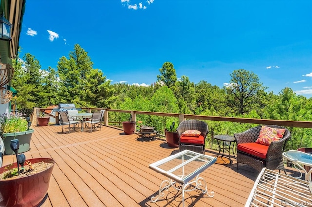 716 Badger Trl, Florissant, CO 80816 - photo 17