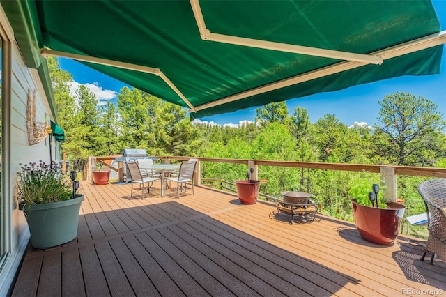 716 Badger Trl, Florissant, CO 80816 - photo 18