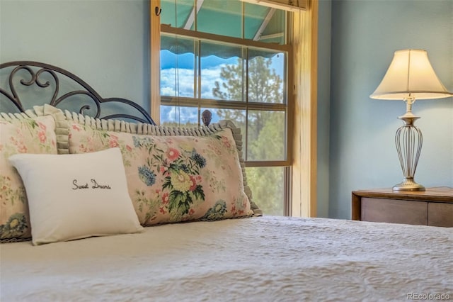 716 Badger Trl, Florissant, CO 80816 - photo 24