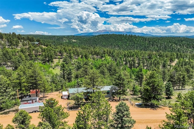 716 Badger Trl, Florissant, CO 80816 - photo 33