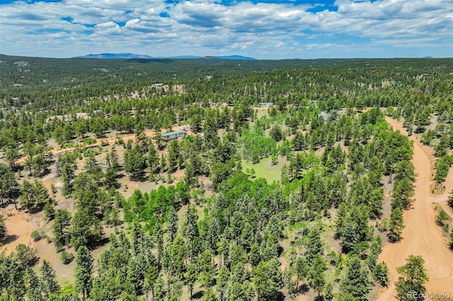 716 Badger Trl, Florissant, CO 80816 - photo 34