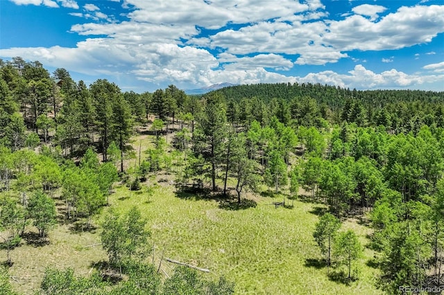 716 Badger Trl, Florissant, CO 80816 - photo 35
