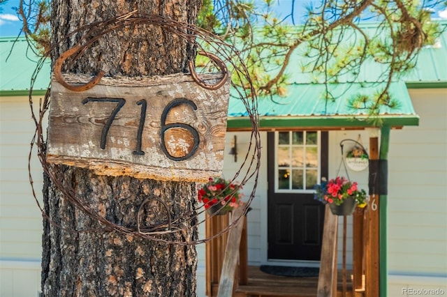 716 Badger Trl, Florissant, CO 80816 - photo 36