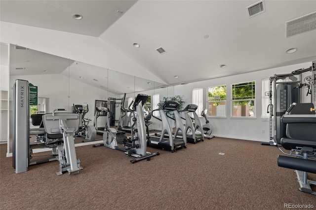 837 E 98th Ave Unit 405, Thornton, CO 80229 - exercise room with vaulted ceiling, recessed lighting, and carpet floors