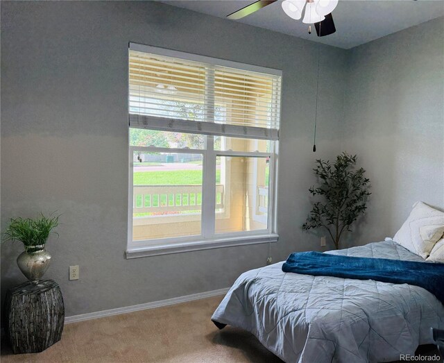 5354 Palomino Ranch Pt Unit 107, Colorado Springs, CO 80922 - photo 14
