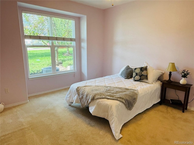 5354 Palomino Ranch Pt Unit 107, Colorado Springs, CO 80922 - photo 15
