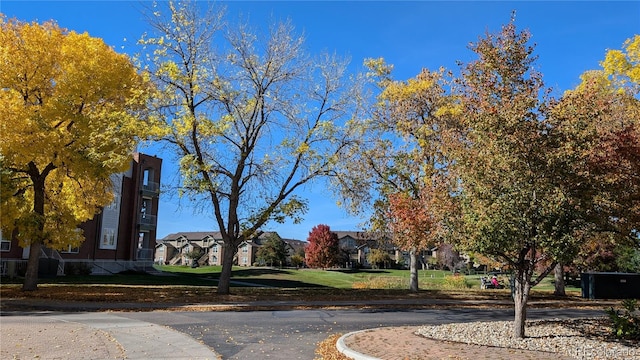 view of property's community with a lawn