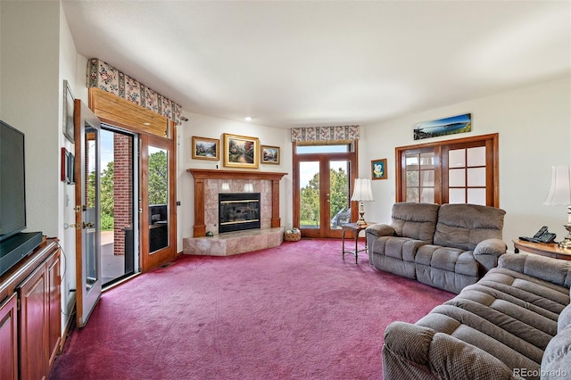 8437 Oak Ct, Castle Rock, CO 80108 - photo 11