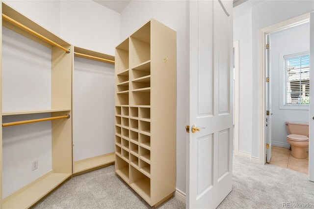 walk in closet featuring light colored carpet