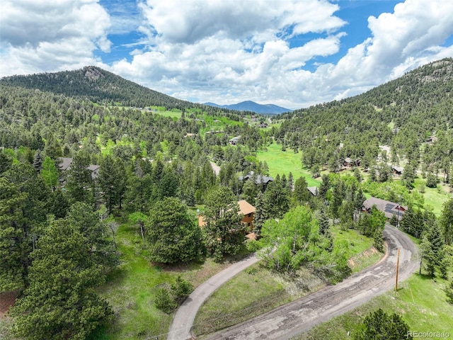 31150 Manitoba Dr, Evergreen, CO 80439 - mountain view with a heavily wooded area
