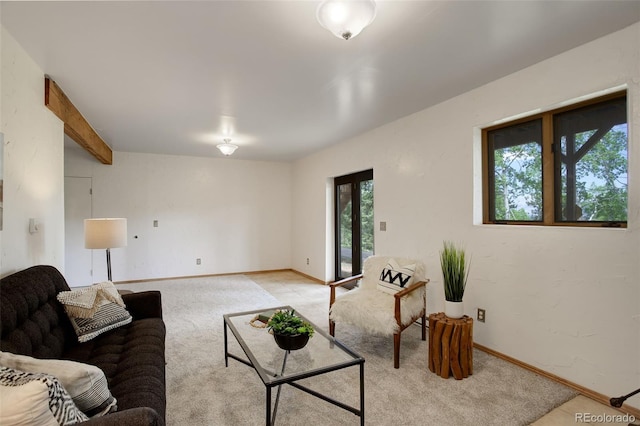 31150 Manitoba Dr, Evergreen, CO 80439 - living room featuring light carpet and baseboards