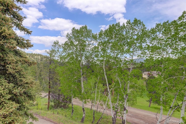 31150 Manitoba Dr, Evergreen, CO 80439 - view of property's community featuring a forest view