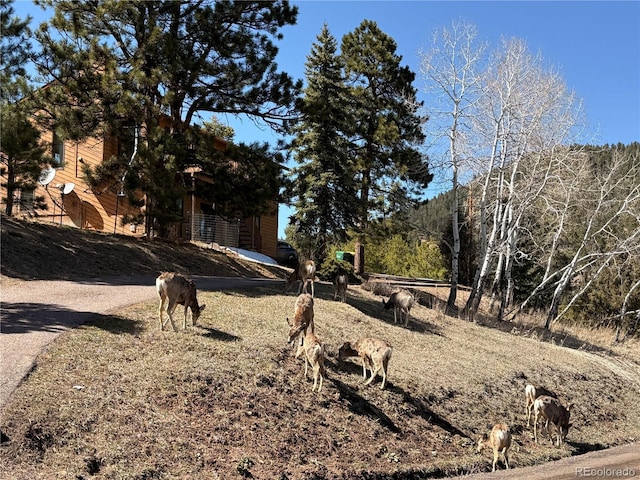 31150 Manitoba Dr, Evergreen, CO 80439 - view of yard