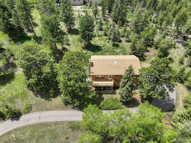 31150 Manitoba Dr, Evergreen, CO 80439 - view from above of property