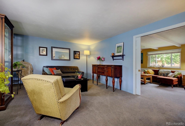 10373 W 75th Ave, Arvada, CO 80005 - view of carpeted living area
