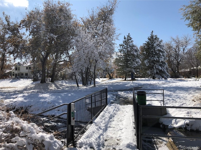 10373 W 75th Ave, Arvada, CO 80005 - view of yard covered in snow