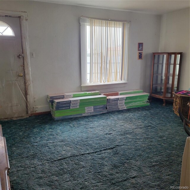 misc room with carpet floors