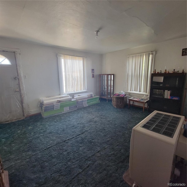 8600 Madison, Hooper, CO 81136 - photo 9