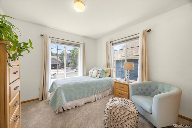 17095 Foxcross Dr, Monument, CO 80132 - photo 14