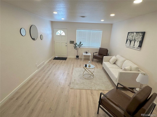 living room featuring light hardwood / wood-style flooring