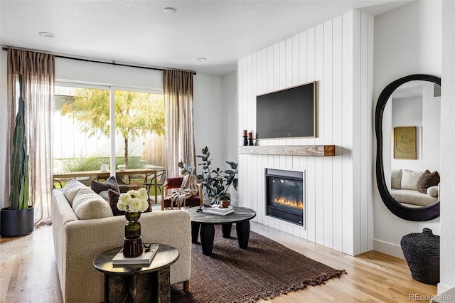 living room with light hardwood / wood-style flooring and a large fireplace