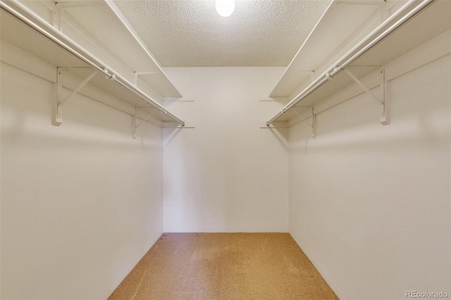 13952 E Marina Dr Unit 102, Aurora, CO 80014 - spacious closet with carpet
