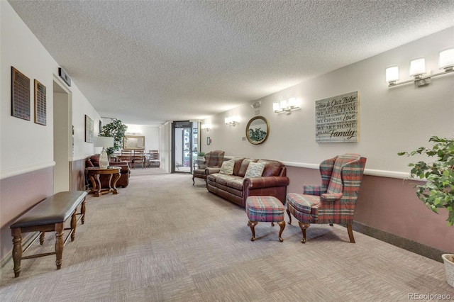 13952 E Marina Dr Unit 102, Aurora, CO 80014 - living area with carpet floors and a textured ceiling