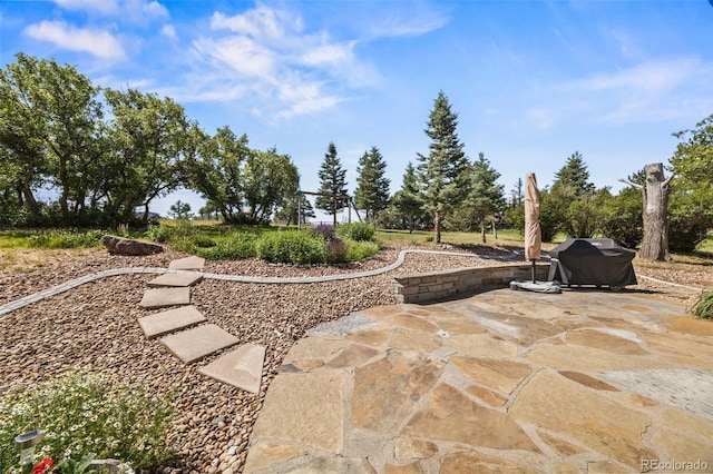 2357 Oak Ridge Rd, Sedalia, CO 80135 - view of patio with a grill