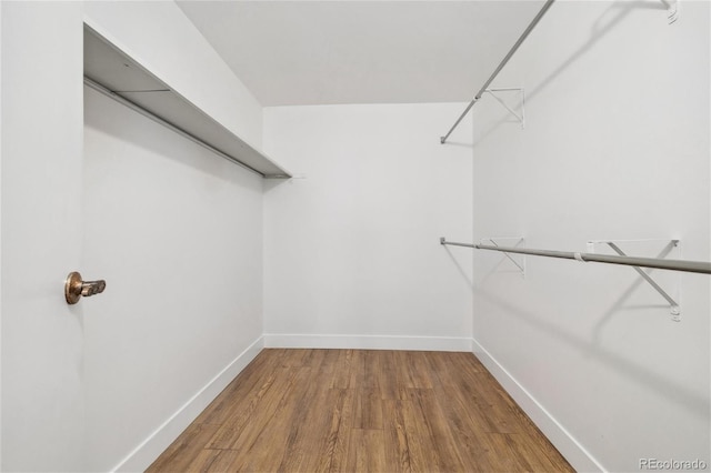 spacious closet featuring hardwood / wood-style floors