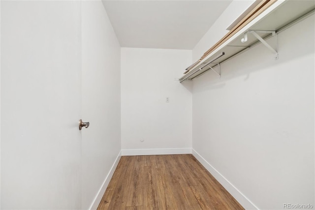 spacious closet with hardwood / wood-style flooring