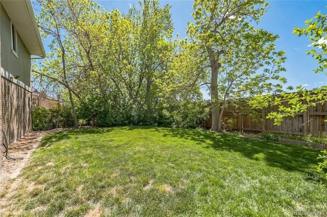 8150 W Calhoun Dr, Littleton, CO 80123 - view of yard