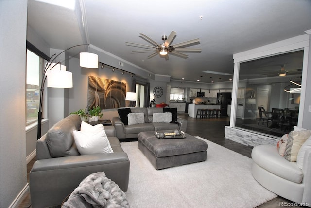 living room featuring ceiling fan and dark hardwood / wood-style flooring