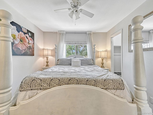 bedroom featuring ceiling fan, a closet, and a spacious closet