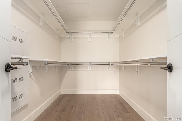 spacious closet with hardwood / wood-style floors