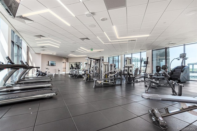 exercise room featuring expansive windows, a paneled ceiling, and plenty of natural light