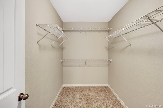 10733 Calista Way, Fountain, CO 80817 - walk in closet with carpet flooring