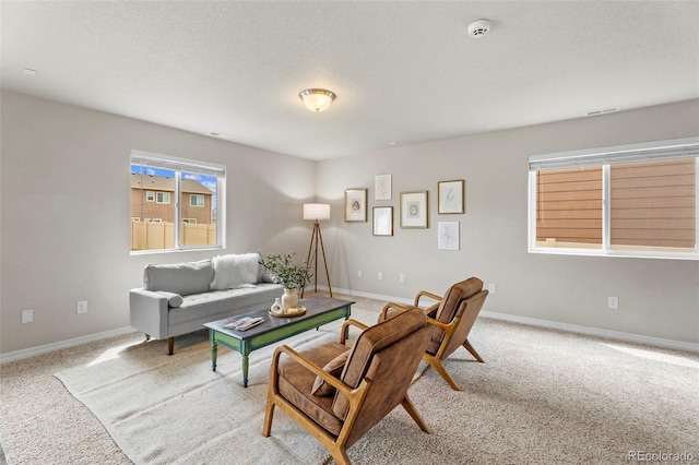 10733 Calista Way, Fountain, CO 80817 - photo 8