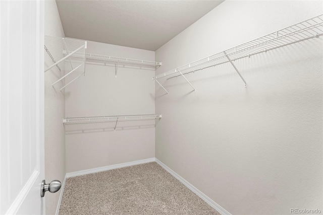 10733 Calista Way, Fountain, CO 80817 - photo 18