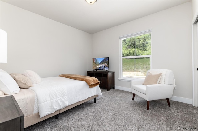 5225 Mesa Top Dr, Monument, CO 80132 - photo 28