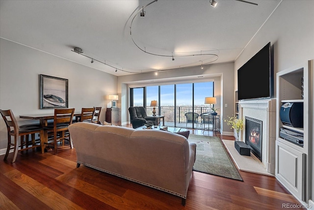 living room featuring track lighting and dark wood-type flooring