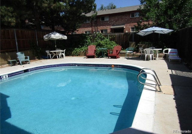 view of pool featuring a patio area