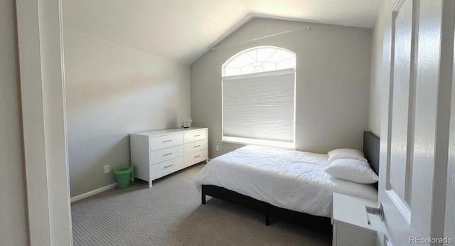 1254 Carlyle Park Cir, Highlands Ranch, CO 80129 - carpeted bedroom with lofted ceiling and baseboards