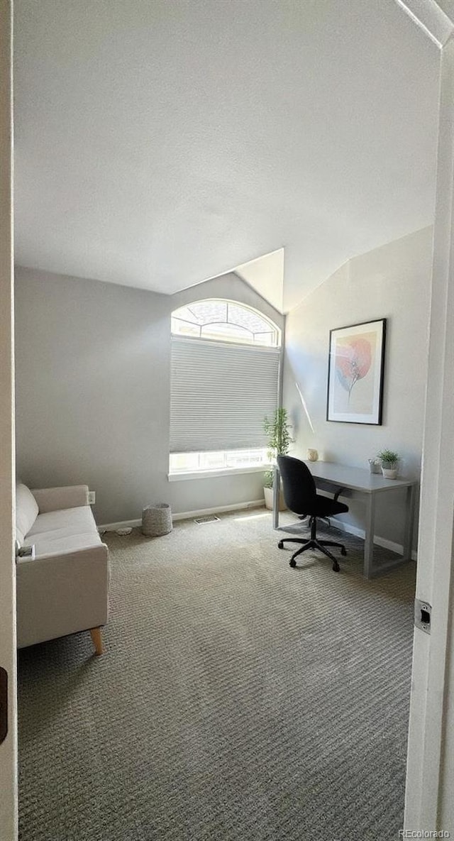 1254 Carlyle Park Cir, Highlands Ranch, CO 80129 - office space with carpet floors and lofted ceiling